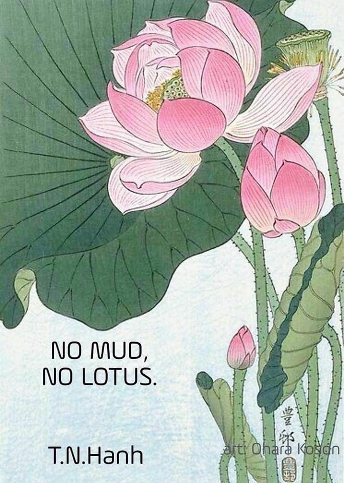 ‘ไม่มีดินโคลนก็ไม่มีดอกบัวอันสวยงาม…’ หลวงปู่ Thích Nhất Hạnh, ปรมาจารย์เซน