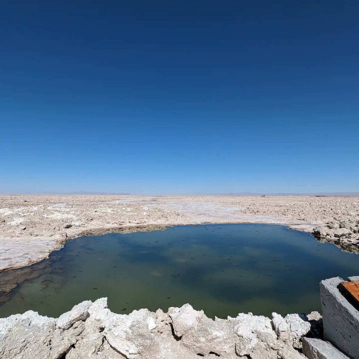 mmatting's tweet photo. Die Salzwüste Salar de Atacama wäre schon ohne die Flamingos 🦩 sehr beeindruckend. #aceap #astroambassadors https://t.co/Nsd23GdSHS