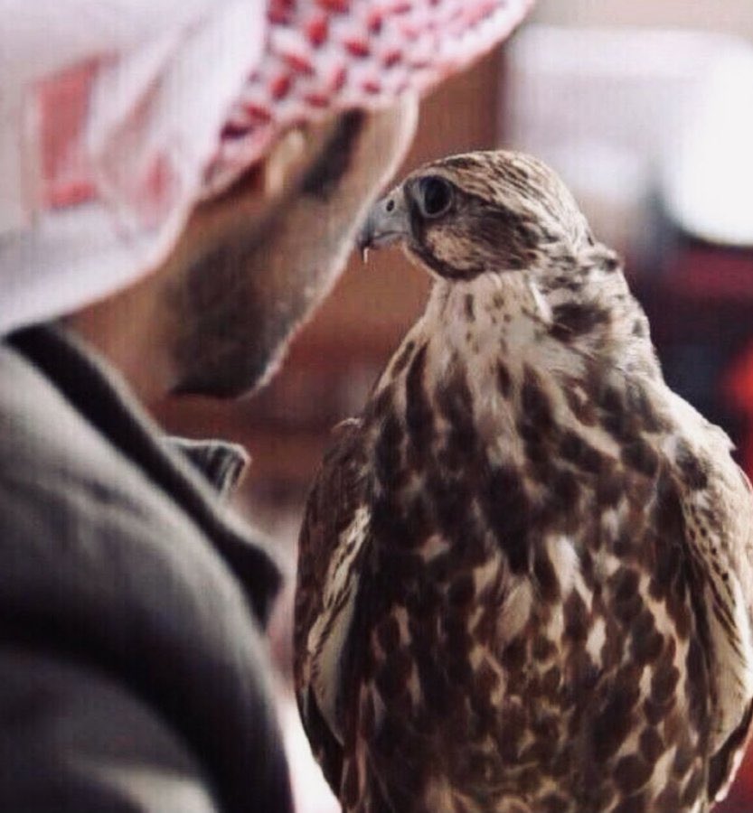فــهــد الـحـمـر …🤍 tweet media