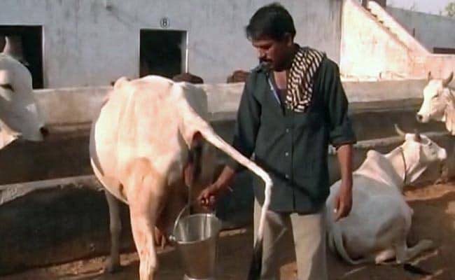jdm295's tweet photo. @madpiler @HindusMahasabha Bro u jokers. Aren’t u ashamed of being Indian 🥲🥲😭 https://t.co/OoFpyX5EP7