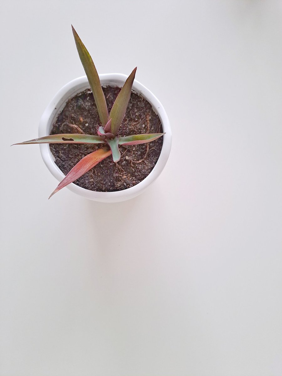 Assalamualaikum everyone, selamat berhujung minggu..

Lazimkan membaca, Inna fatahna laka fatham mubina..
(Surah Al-Fath: Ayat 1)
Inshallah rezeki yang datang seperti air zam-zam yang tak berhenti mengalir. Aamiin Ya Rabb..