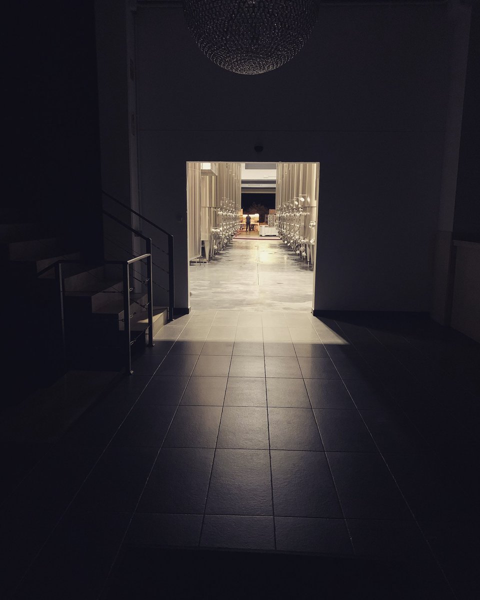 Otra noche de vendimia. Hoy ha refrescado mucho, por fin. Toca elaborar parcelas especiales del viñedo de Los Balancines. Turno para Cerro del Boticario, nuestra Garnacha Tintorera más singular.