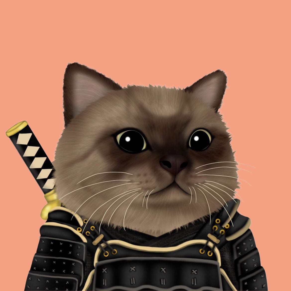 10 H🕘 To 🐱Catz Warrior WL Free Mint  on #BuildonBase.  Drop your ETH wallet for whitelist . Aug. 13, 2023, 7 p.m. Asia/Bangkok #nftcolectors #Nftfreemint #Freemint #NFTWhitelist