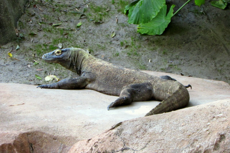 🌎Nature Nut Ben🌎 tweet media