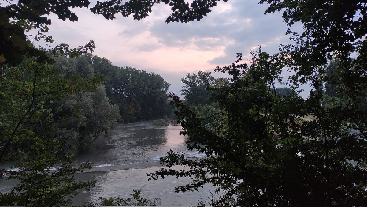 Rito Eltyr tweet media