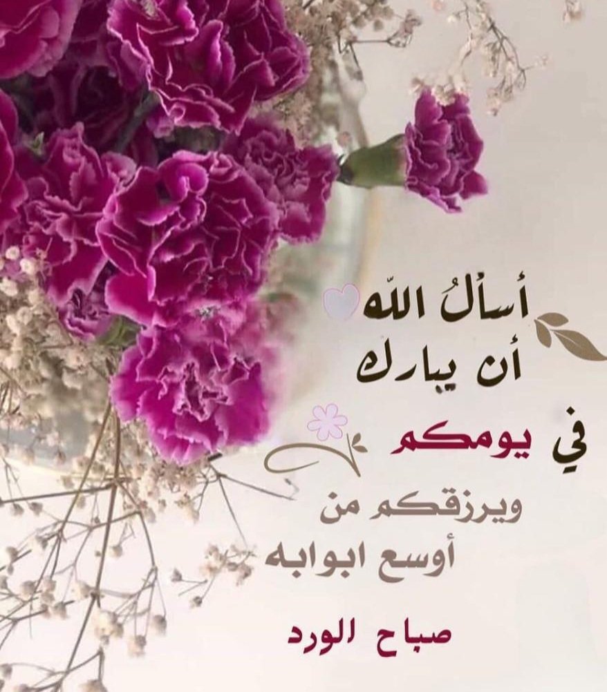 sar__224's tweet photo. رتبوا الصباح لبداية جديدة،

عيشوا مع إشراقته وقتًا لطيفًا،

تنفسوا نقاءه بروح صافية وقلب أبيض،

واشربوا قهوة الصباح بمزاج رائع.

#يسعد صباحكم  🌺 https://t.co/IhOr9kgwDB