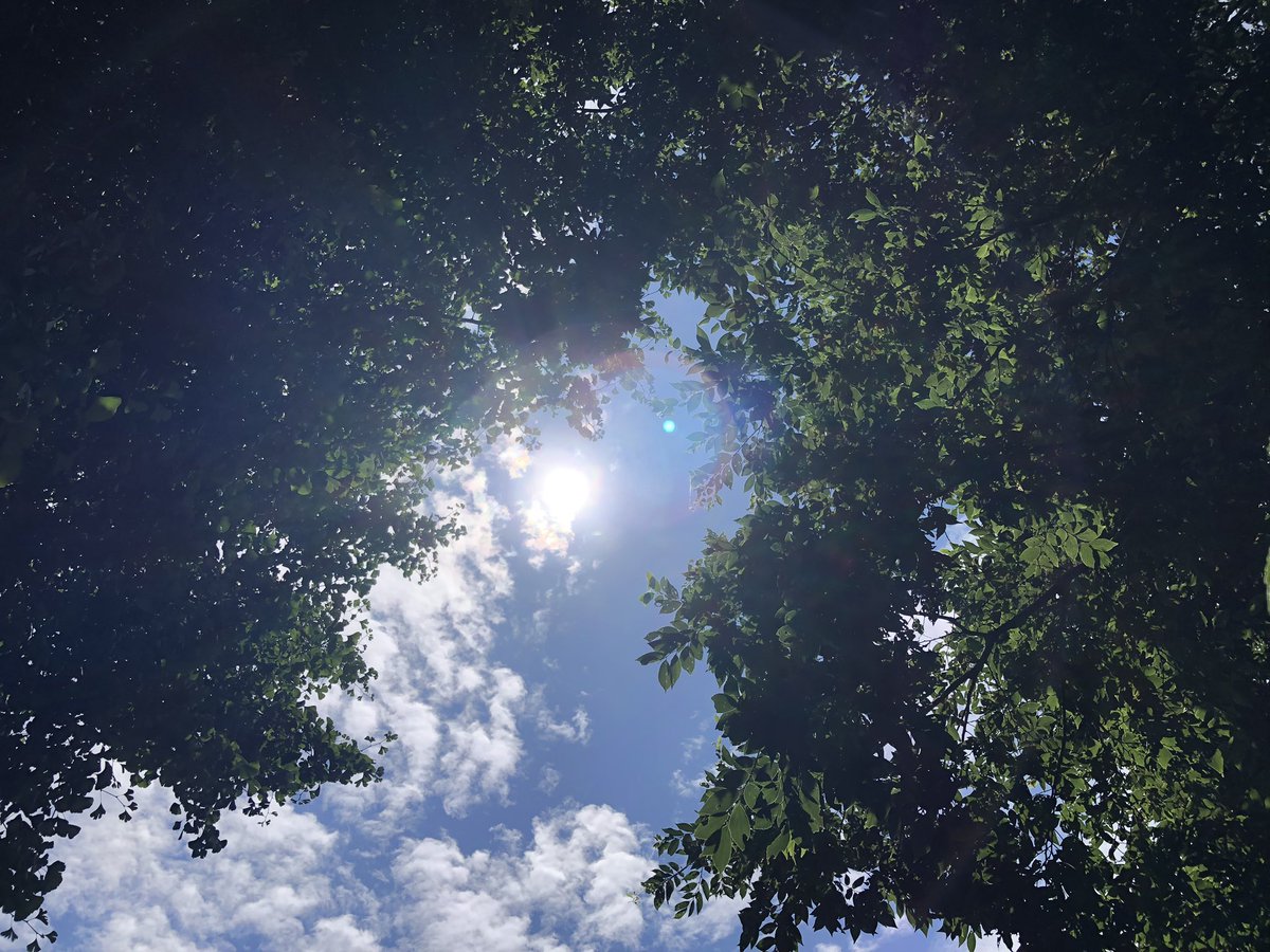 sekitoba1007's tweet photo. お墓参りで木陰の涼しさを体感ちう☀️ https://t.co/uESJinjOZ9