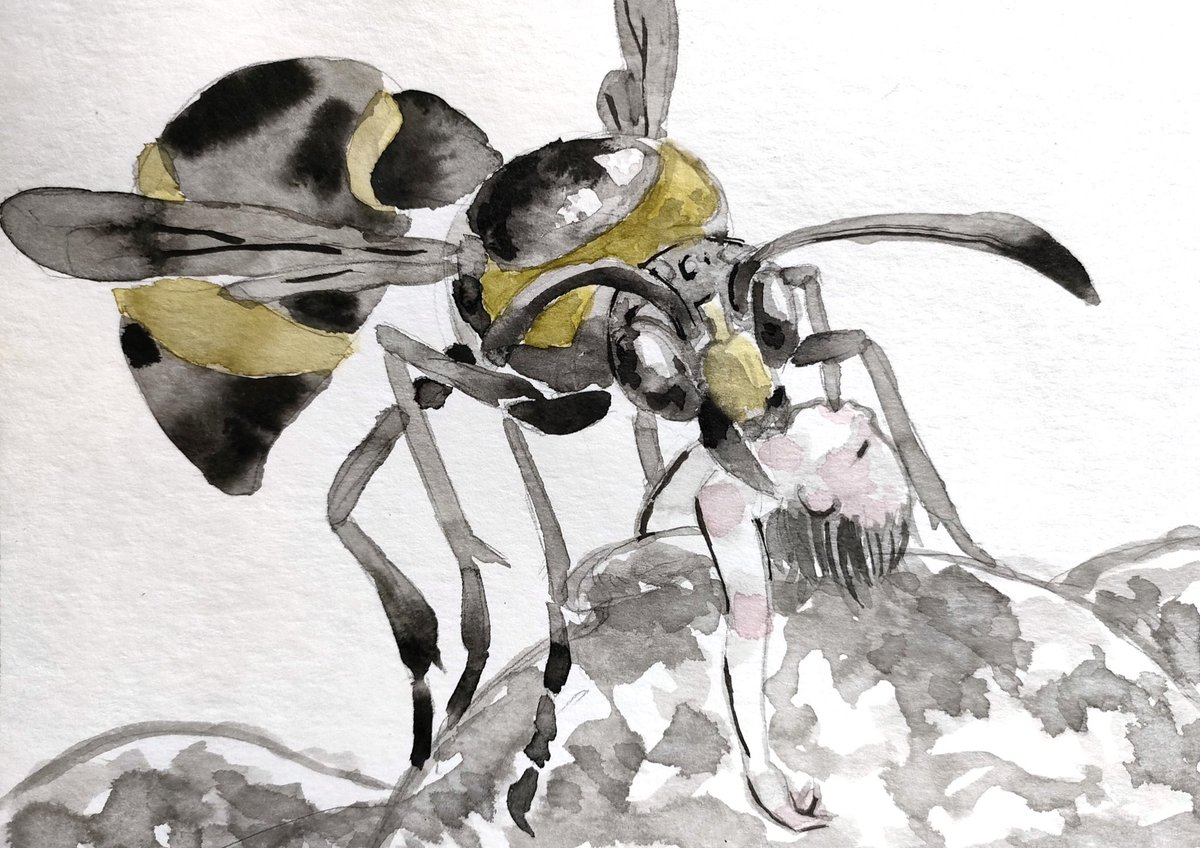 #ド直球に言いますがフォローしてください 少年と生き物の交流