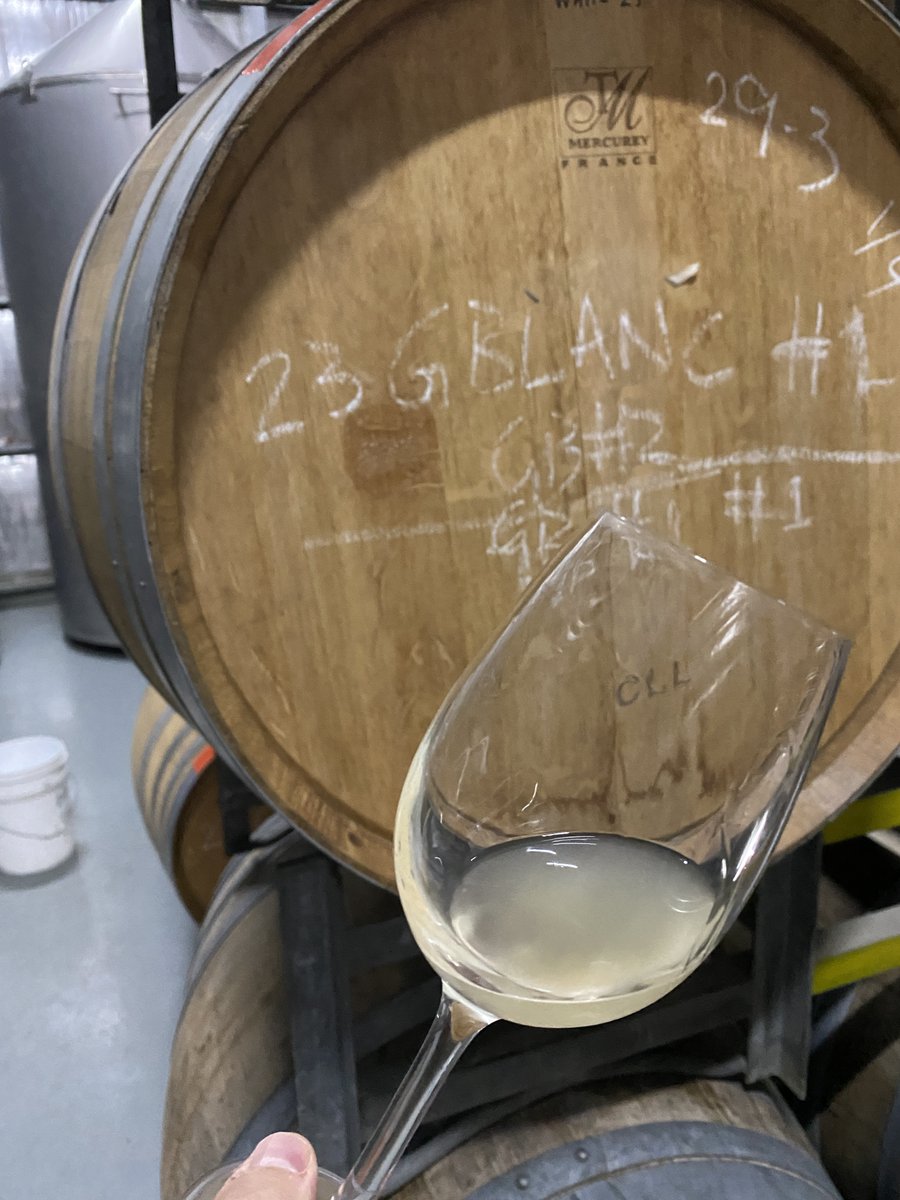 New release hitting the site this October! 100% Barossa Valley, 100% Single Vineyard Garnacha Blanca. I have been a fanboy of Garnacha Blanca for over 10 years, and this wine is it!

#newrelease #singlevineyard #garnachablanca #vineyard #grenache #wine #limited #barossavalley