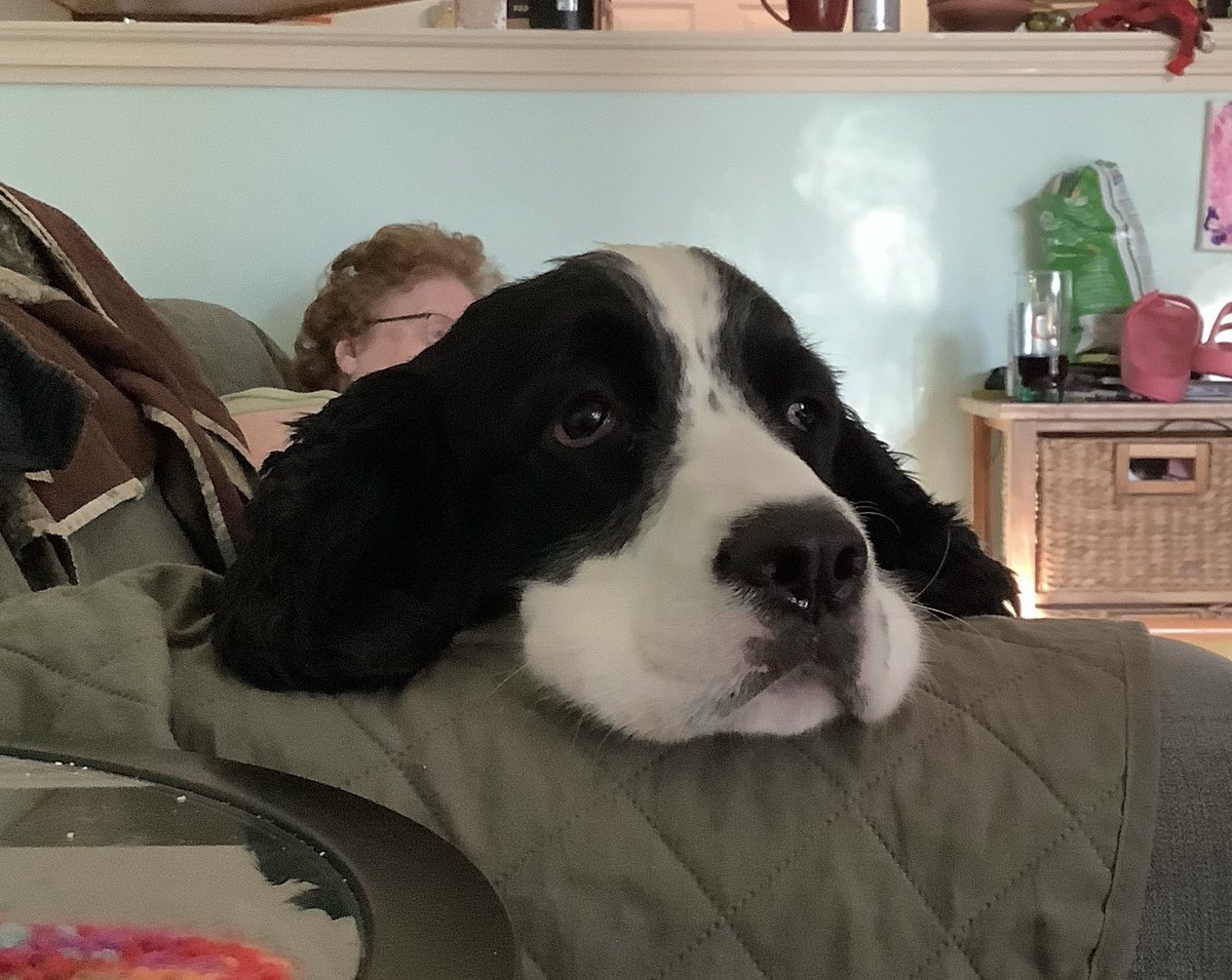 Dave Wardle tweet media