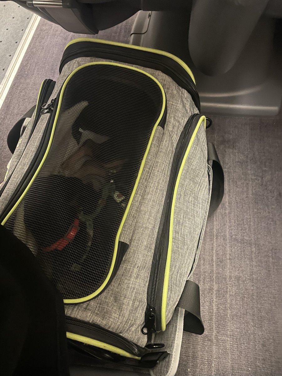 Maria_Morillas's tweet photo. Como diría mi abuela “Señor, dame paciencia porque como me des fuerza…”. Pues eso, buenos días y buen viaje, (incluso a los siesos de la fila 8) @Renfe (6) https://t.co/lR2l8TKylb