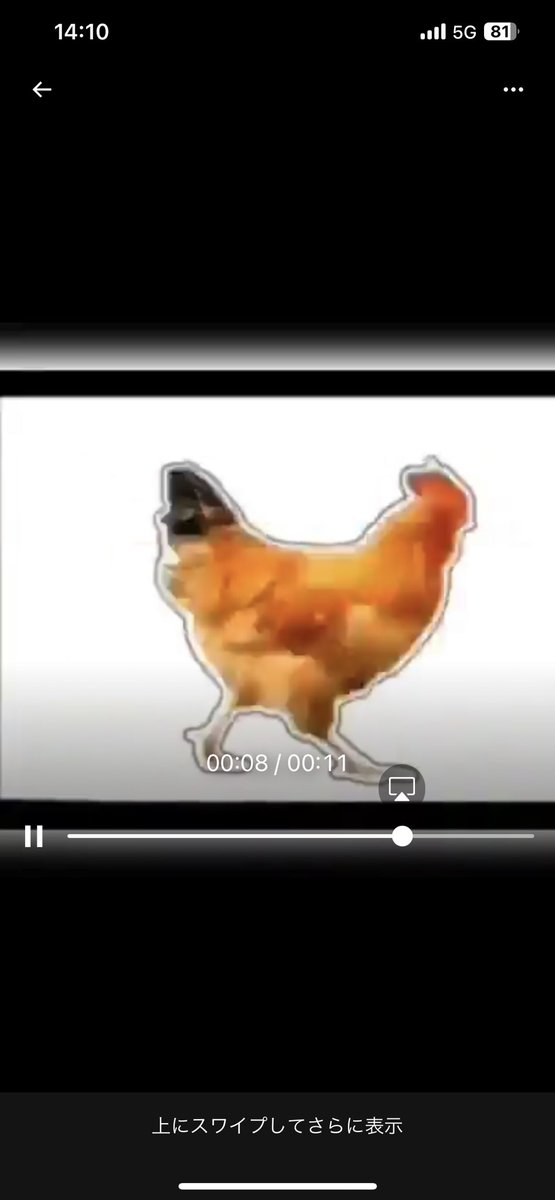 FXトレーダー tweet media
