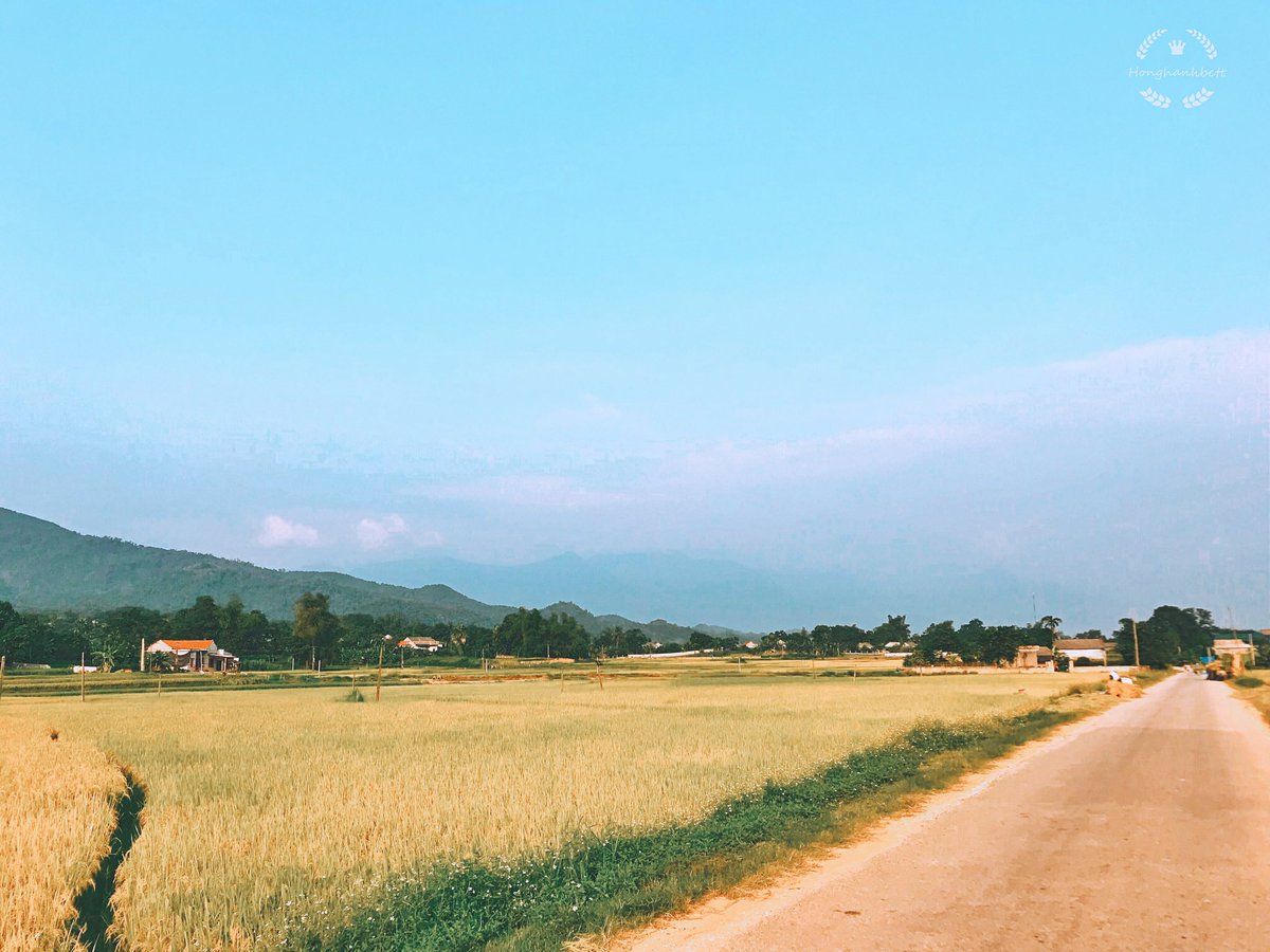 Peaceful village scene 📸
#photo #beauty #village #vietnam #photograph