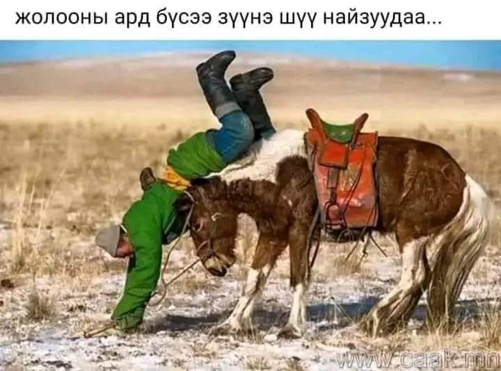 Мөнх-Амгалан (@amgaa0809) on Twitter photo 