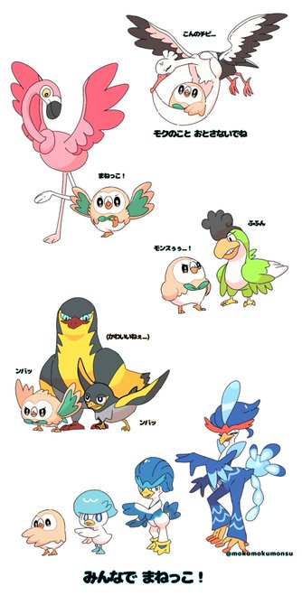 #鳥ポケモンの日 パルデアの鳥達とモクロー