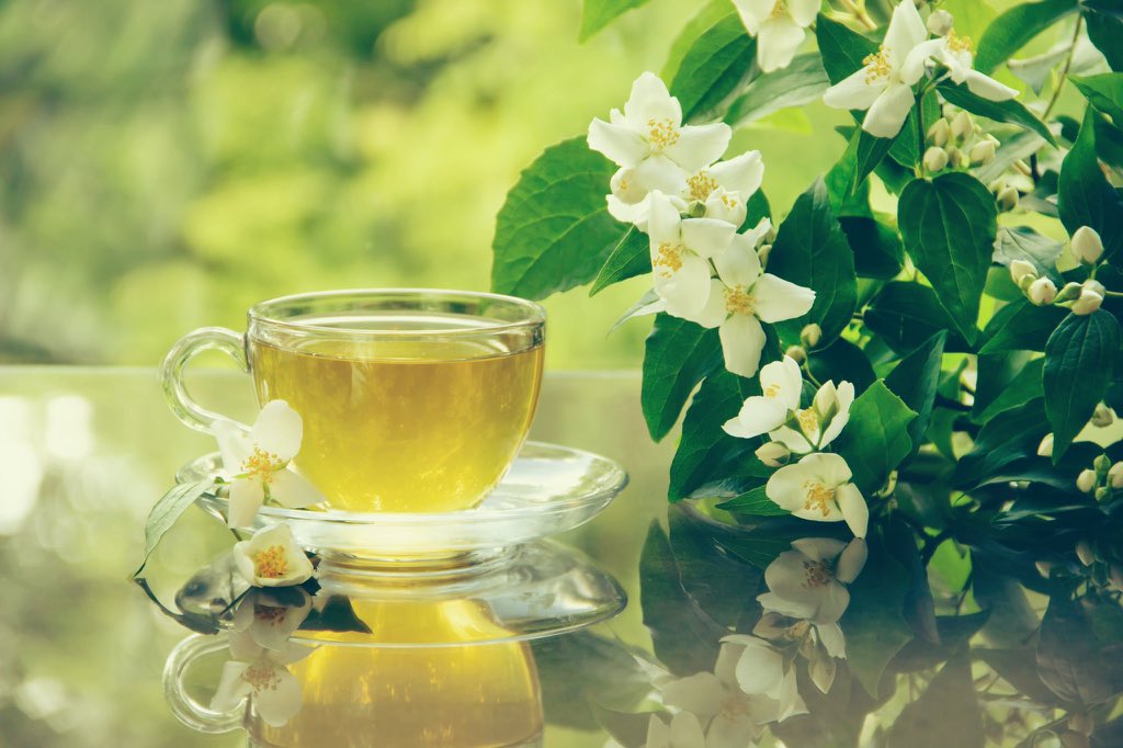 coloriamagazine's tweet image. ついに出会ってしまった、ジャスミンティーそのままの香りがする香水。ディプティックのオレーヌっていうんだけど、ジャスミンティーの上品な華やかさやほんのりした甘みまでも完璧に再現されてて一瞬で惚れた…。周りからも好評だし、間違いなくジャスミン香水の中でも屈指の名香。