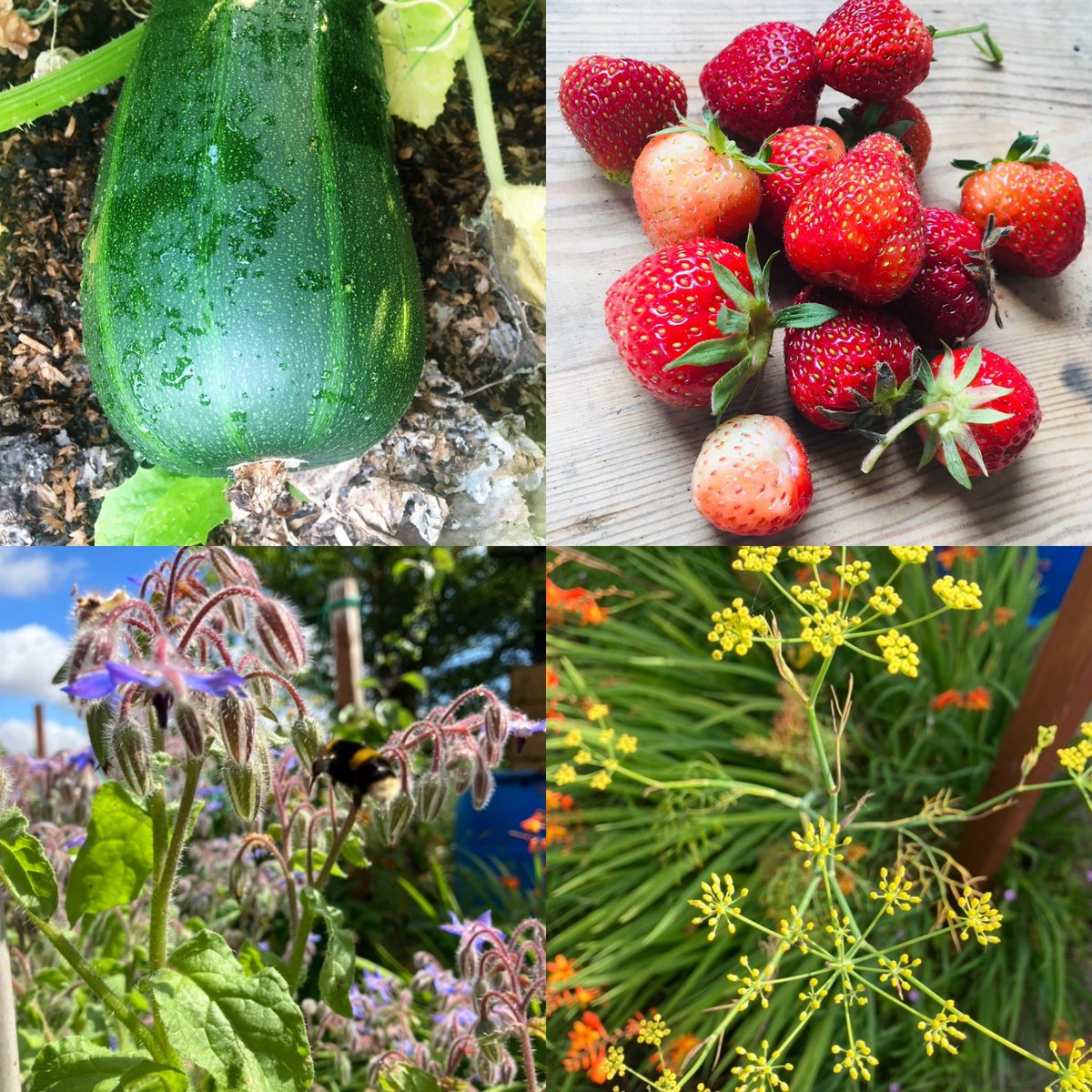 Refill UK tweet media