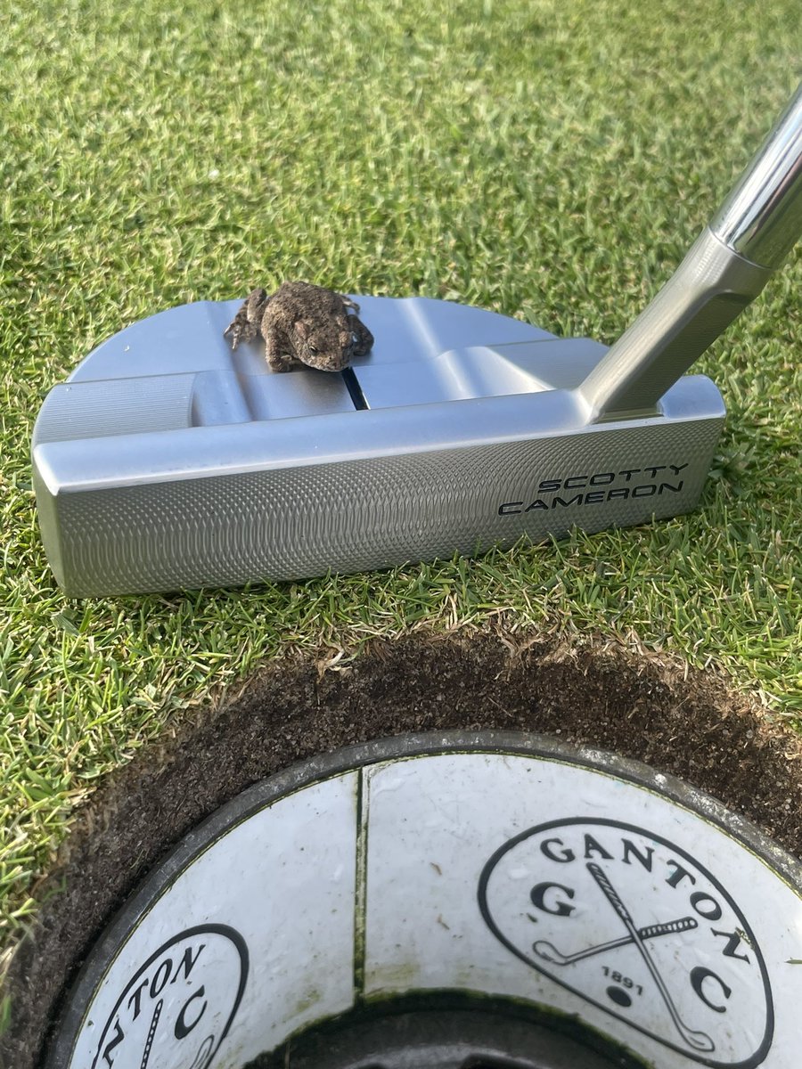 Steven Esterbrook tweet media