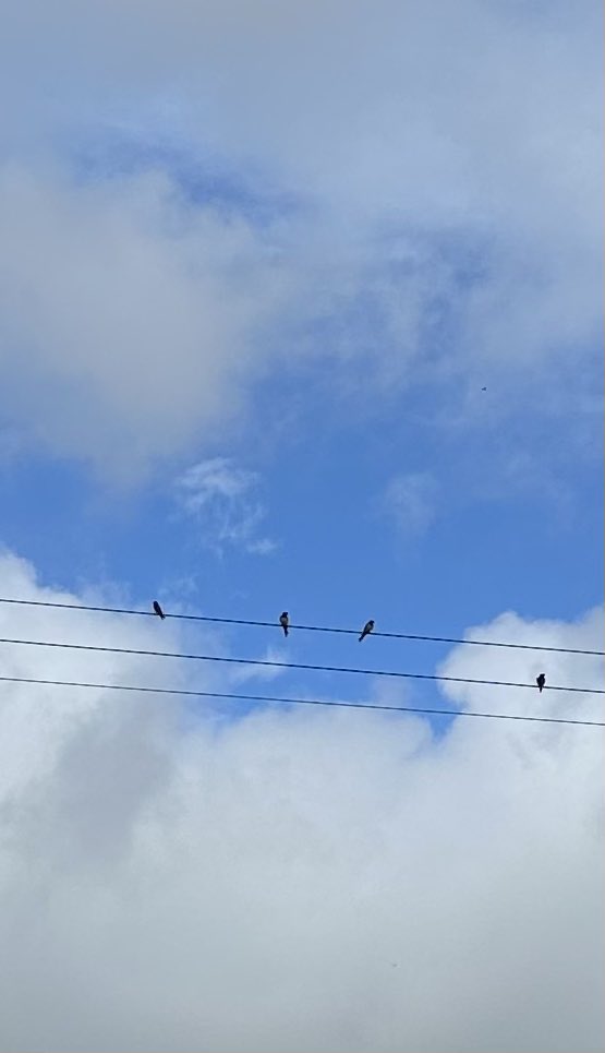 Ed Newton-Rex tweet media