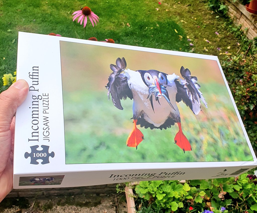 *WIN this 1000 piece jigsaw puzzle! 😀🎉 Featuring my profile pic 'Incoming Puffin' 🥰 To enter, just tell me your favourite bird and then retweet! 🙏😊🐦❤️