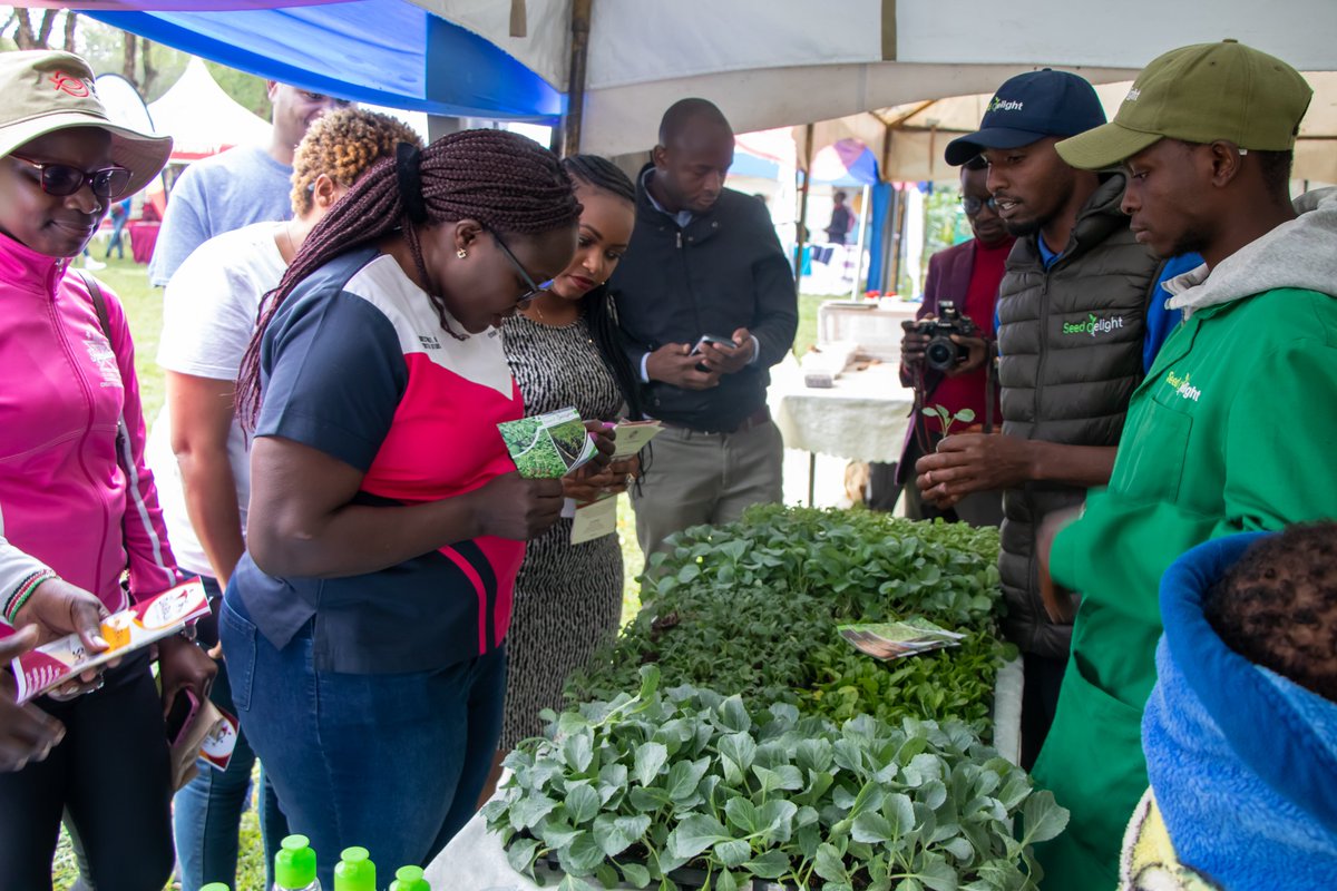 cerealgrowerske's tweet photo. With a strong representation from Farm to Market Alliance and CGA, over 20 passionate young individuals covering various facets of different value chains have come together.

#youthforclimatechange 
#NakuruYouthWeek2023 #sustainablefuture
#FtMA
#nakurucountygovernment https://t.co/DPF8XFmTJk