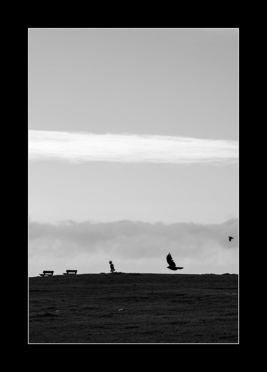 The birds.. run child run.
#fujifilmxf90mm 
#thebirds
#street
#spi_collective 
#spi_mono
#xt5
#mono 
#streetphotographyinternational #street_ga #streetimage