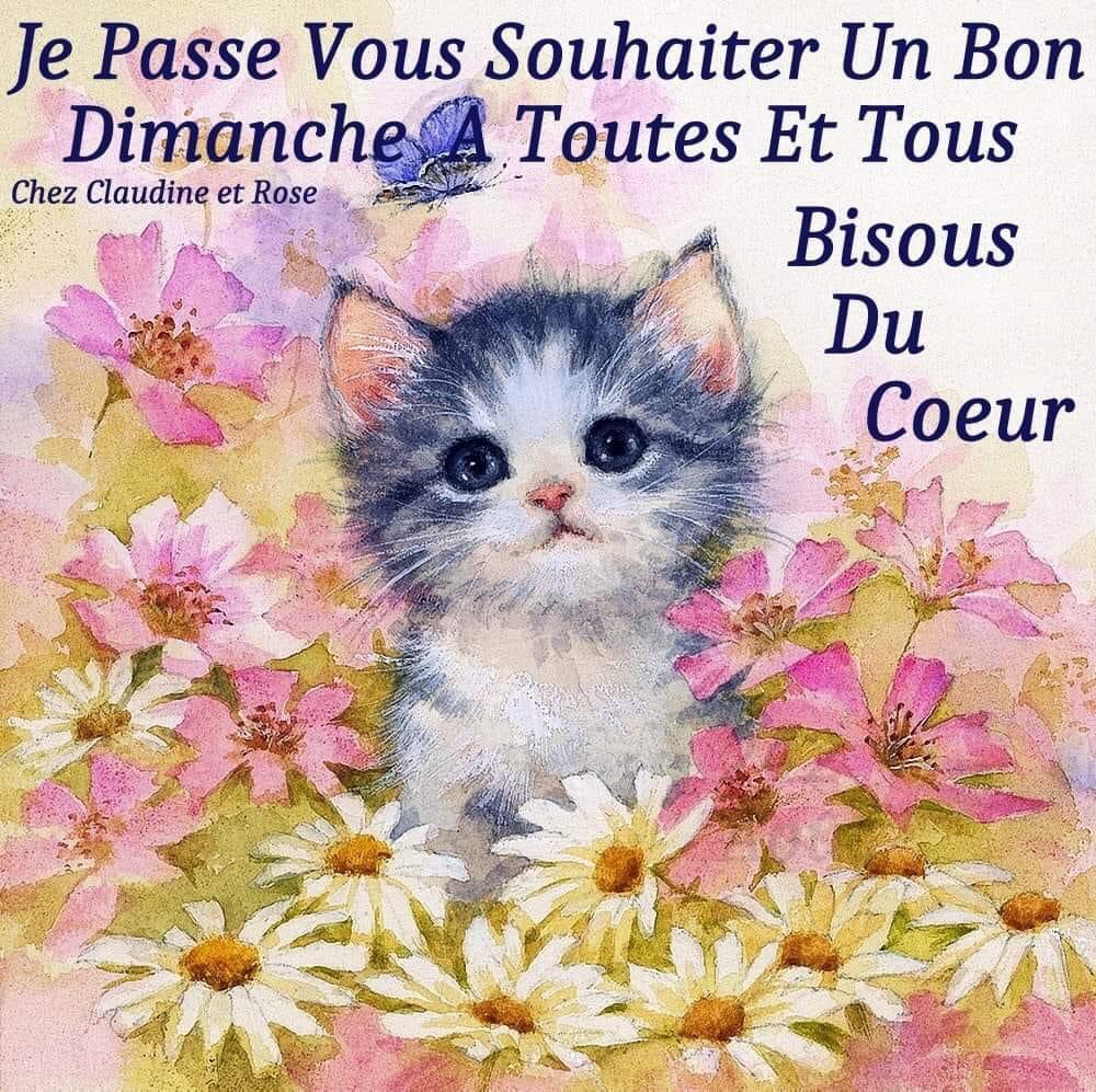 botin_marc's tweet image. Bon dimanche à tous 😊