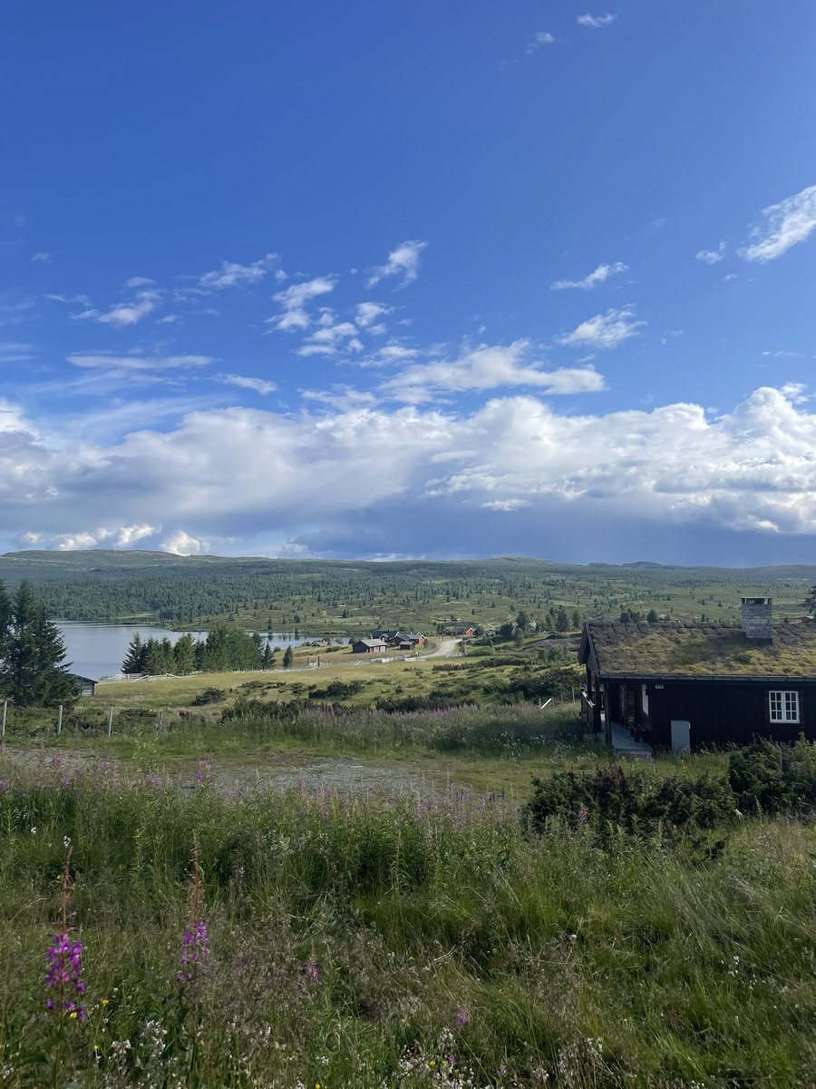 LeaGoebel's tweet photo. Ach Norwegen https://t.co/iXpKb2bYzi