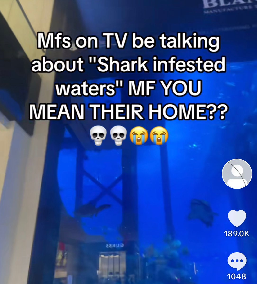 Wild TikToks (@wildtiktokss) on Twitter photo 