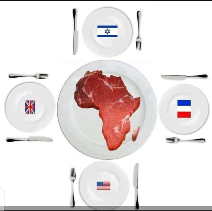 Ma-tyres Curates (@matyres) on Twitter photo <a href="/jacksonhinklle/">Jackson Hinkle 🇺🇸</a> Emotions over reasonings...Africa is the grass when 2 elephants fight . WWW 3. If you are not on the table then you are the menu <a href="/jacksonhinklle/">Jackson Hinkle 🇺🇸</a> Emotions over reasonings...Africa is the grass when 2 elephants fight . WWW 3. If you are not on the table then you are the menu