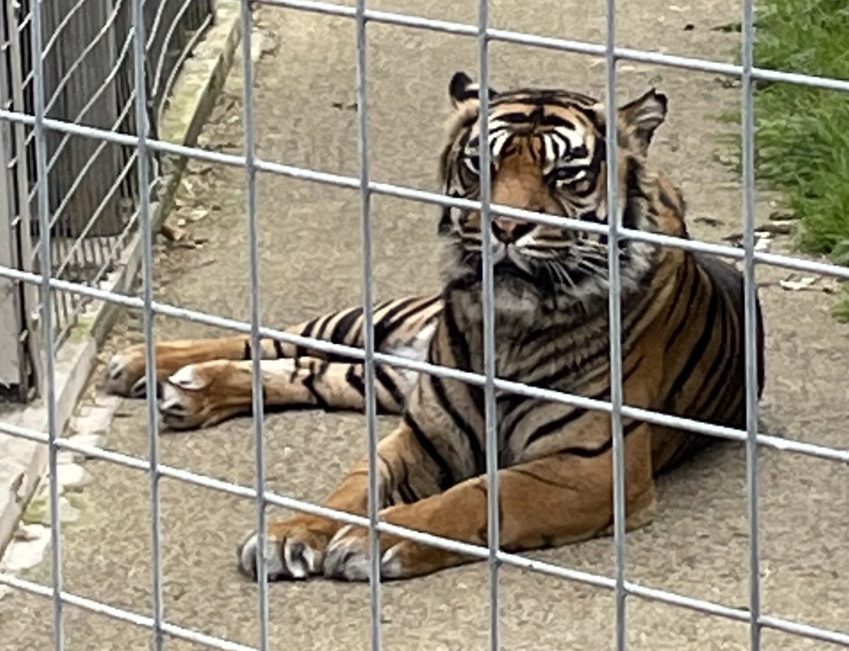 Clive ‘Uppy’ Upright tweet media