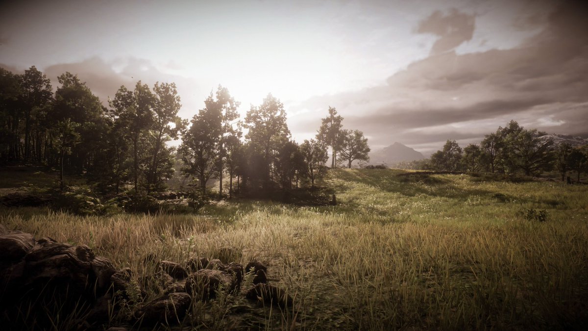 Red Dead Redemption 2 

#VirtualPhotography #RedDeadRedemption2