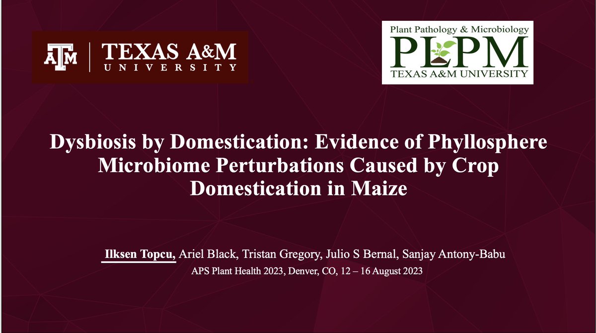 İlksen Topçu (@ilksentt.bsky.social) tweet media