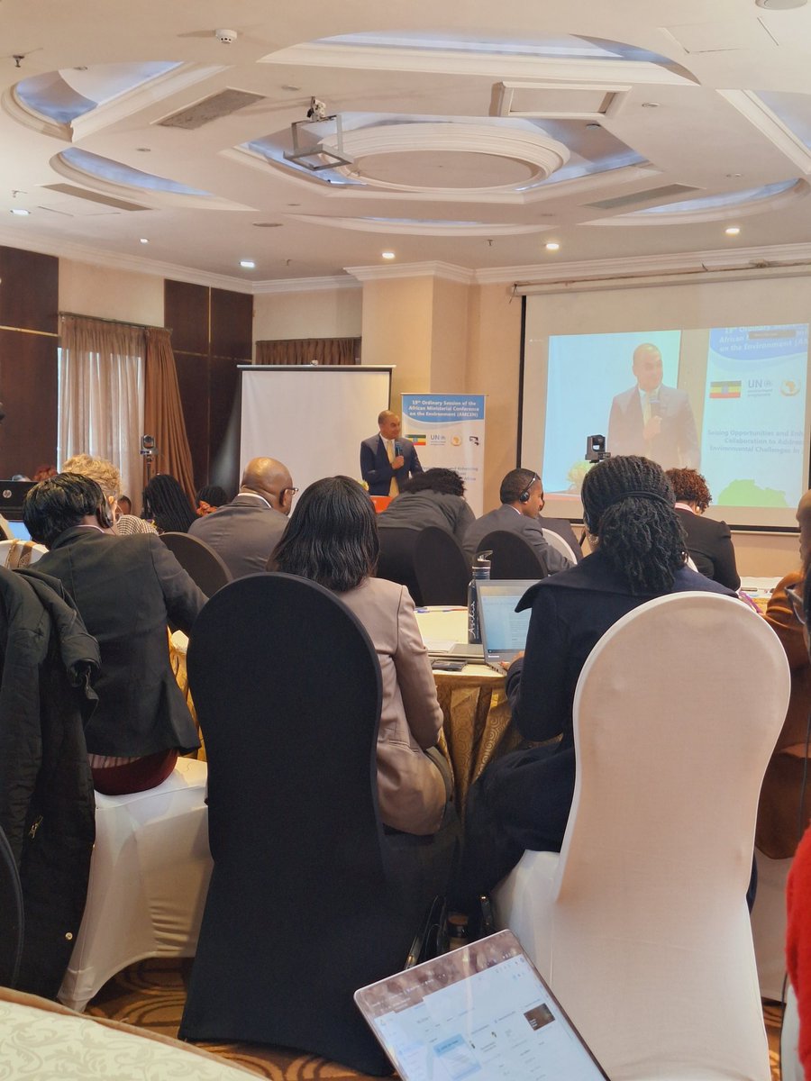 ESAFF Head Office tweet media