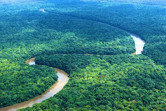 AmisJshabn's tweet photo. La #RDCongo est le 2e poumon mondial, la forêt équatoriale la plus grande réserve de tourbières au monde, la plus grande forêt d'Afrique,...
Mais nos écoles n'ont pas de bancs, les salles de classe chez moi à #kundu n’ont pas de tableaux faute de bois. #Inconcevable ! https://t.co/oerOM3qVe9