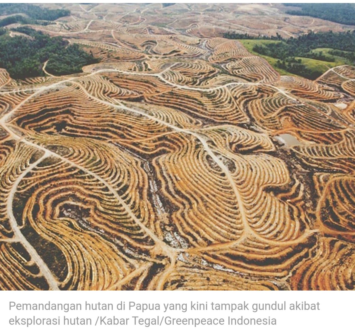Itu hutan di Papua bukan Kalimantan woeee...😴🥱

Internet Cepat Buat Apa❓❓❓

Kredit 📷 Ulet Ifansasti
