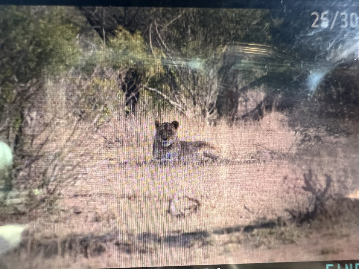 Nick Bell tweet media