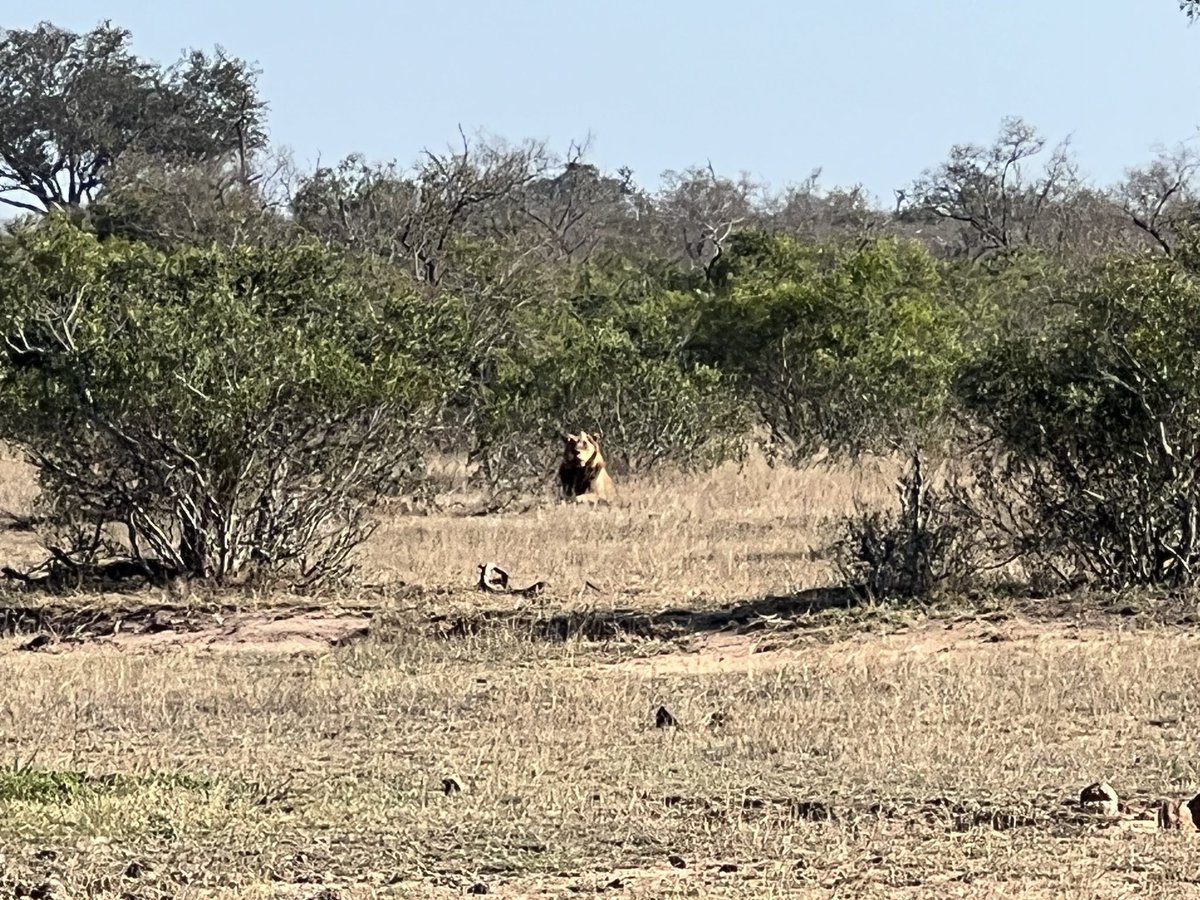 Nick Bell tweet media