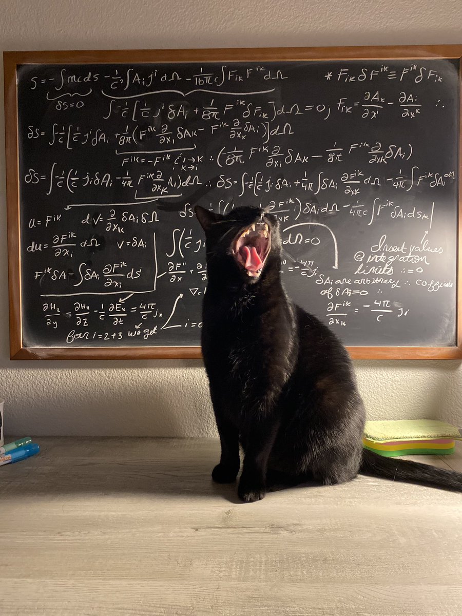 He’s not happy with my physics #sciencecat