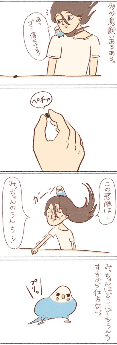 今日のみっちゃん絵日記🐥 ちょっと見やすくしてみました! 