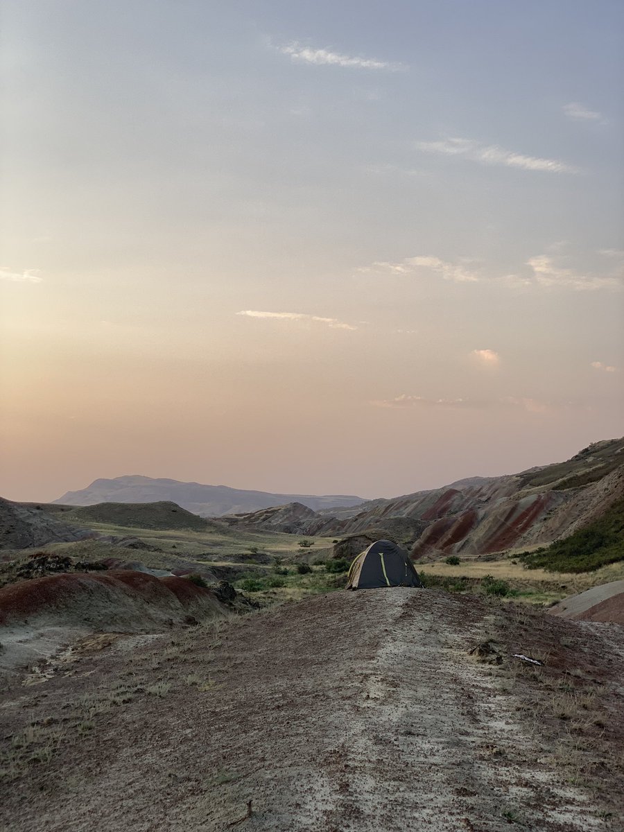 Дила мшвидобиса!