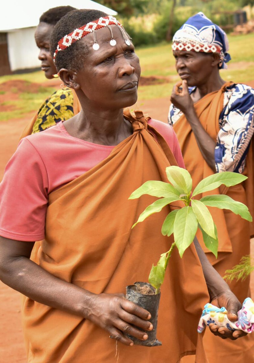 International Youth day in Bungoma marked at Toroso sec school#Green skills