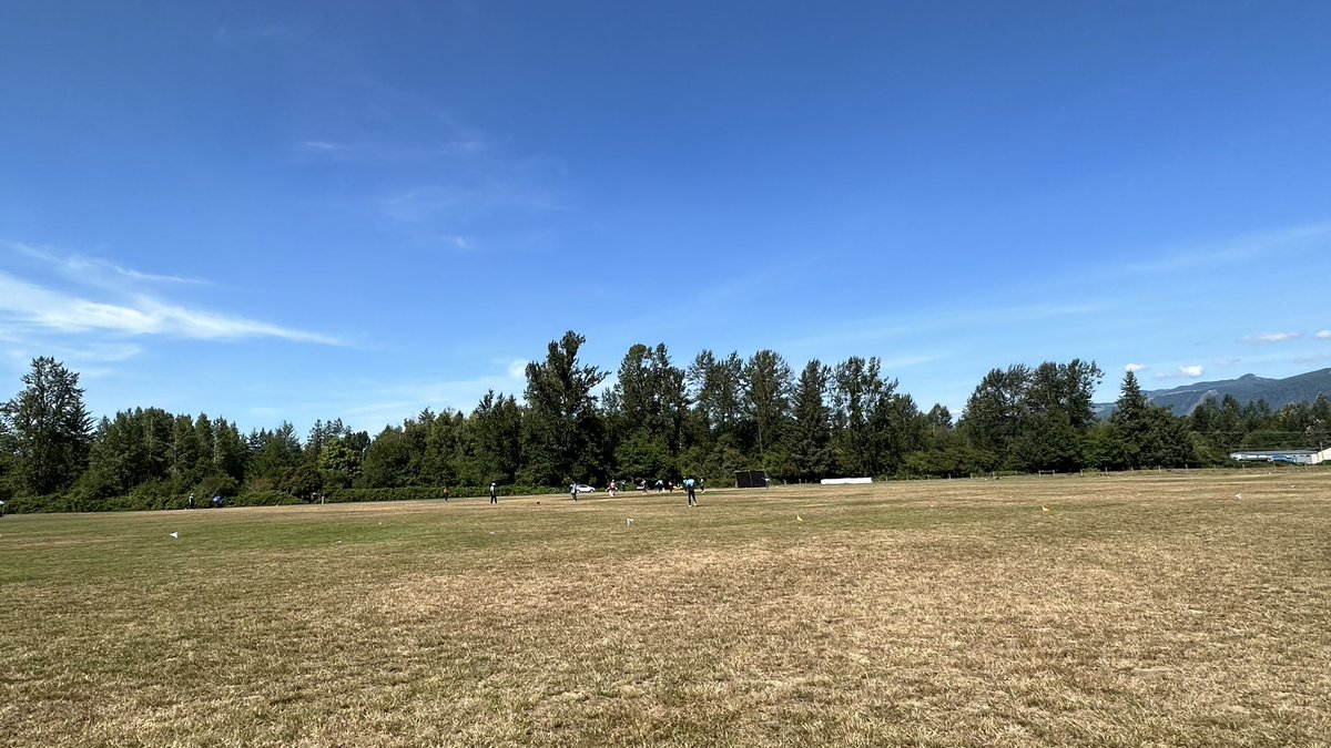 Build American Cricket tweet media