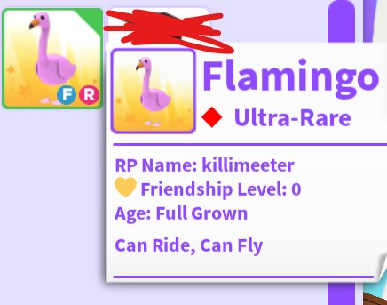 ♡FR Flamingo Giveaway ♡
♡Follow Me and <a href="/killimeeter/">konan Dm2s || ART CONTEST 📌</a>
♡Retweet To Enter