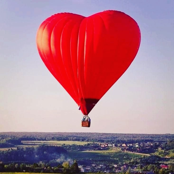 Johan Gielen tweet media