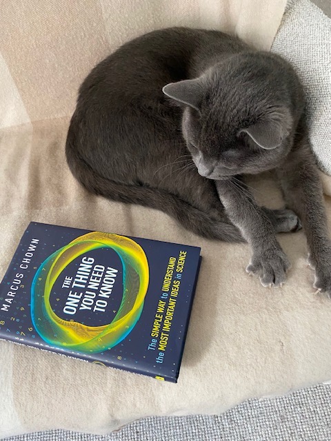 marcuschown's tweet photo. Why was there no change to the design of stone hand axes for 1.4 million years? How come the Earth once had a ring? This week, I’m giving away another audiobook of THE ONE THING YOU NEED TO KNOW to a randomly chosen person who retweets this @OMaraBooks https://t.co/UBpkxZaLSe