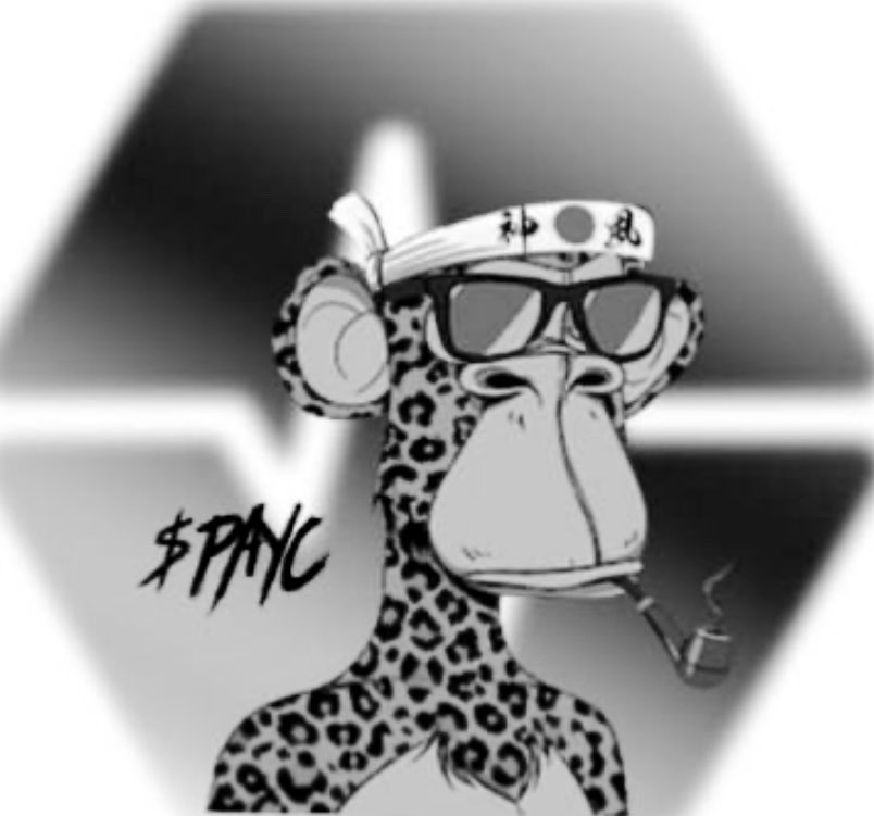 All right hmu here or tg lmk are ready for this…. Here’s what we gonna do ….all T-shirt sales ….30% of the profit goes back to community we will vote as community on what to with profit 
@PAYC_NFT  <a href="/HeartLabswin/">Heart Labs</a>