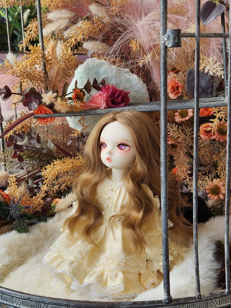 쥬드쁘뻬가서 찍은 사진!
왜 새장 사진만 있지..?😂
가서 슬아님도 뵙고, 뽀을님도 뵙고, 다른 분도 뵙고 그랬어요~
반갑게 인사해주셔서 감사합니다~