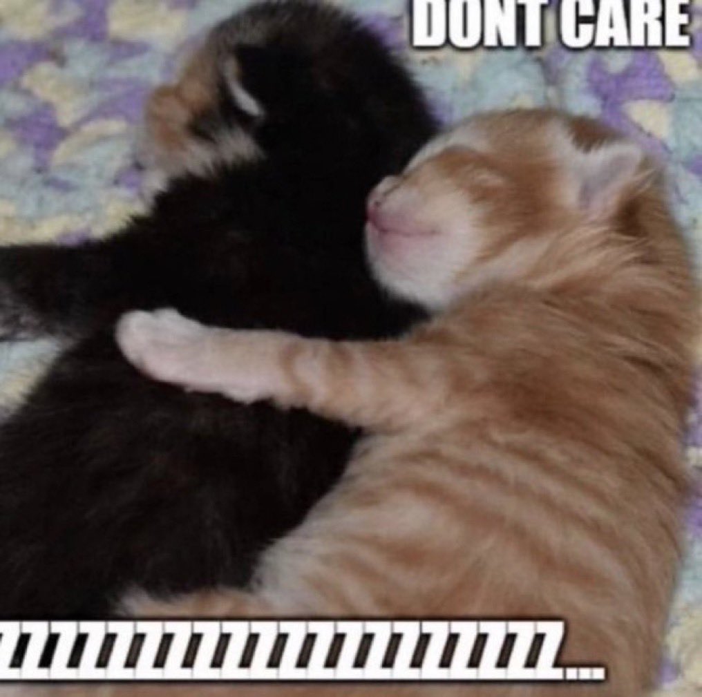 reactjpg's tweet photo. kittens spooning sleeping don’t care zzzzzzzzzzzzzzzzzzzzz impact font https://t.co/G8kt1UNHJL