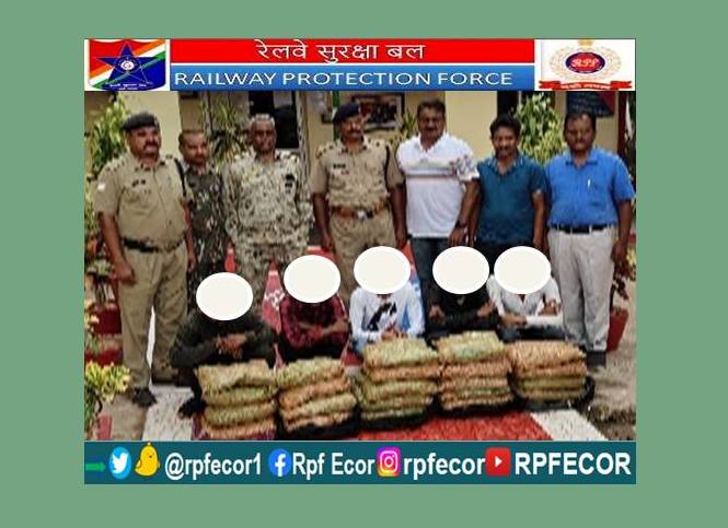 @RPF_INDIA RPF/CIB/Rayagada, RPF/Jagdalpur & Local Police/Bodhghat arrested 05 Ganja peddlers with of 41 Kgs of Ganja valued Rs.4,10,000/- from Jagdalpur  station on 12thAugust 2023. Local Police/Bodhghat registered a case under NDPS Act against arrested persons.
#OperationNarcos